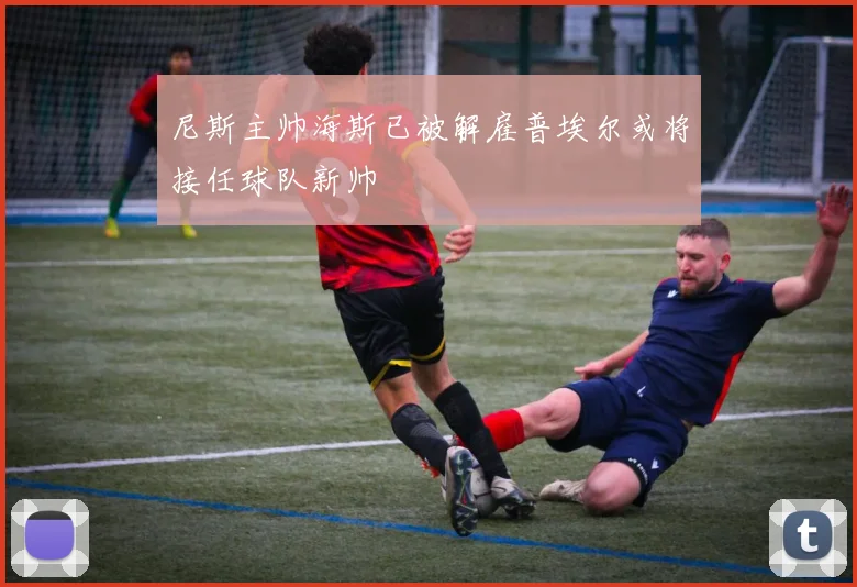 尼斯主帅海斯已被解雇普埃尔或将接任球队新帅