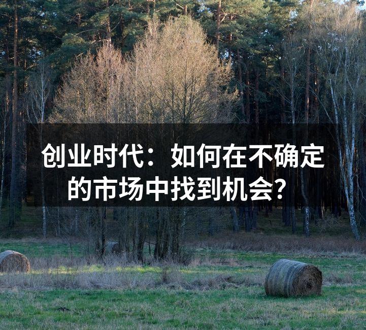 创业时代：如何在不确定的市场中找到机会？