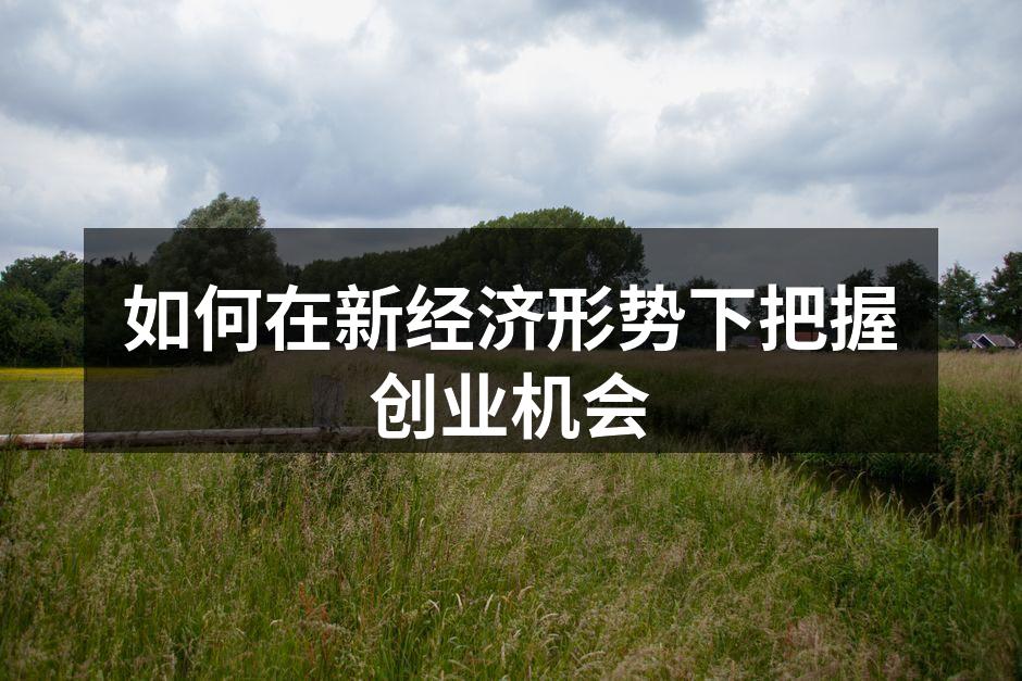 如何在新经济形势下把握创业机会