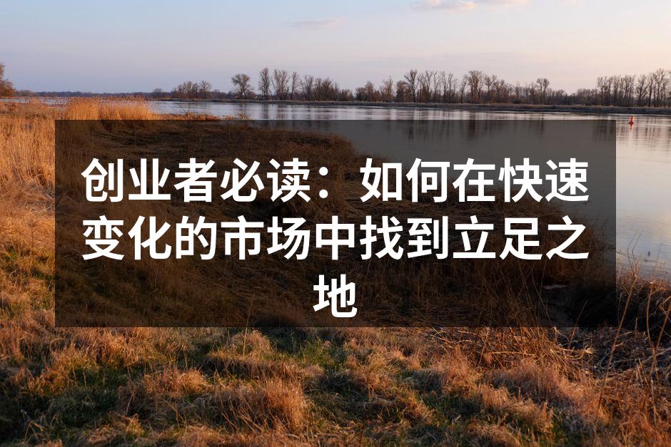 创业者必读：如何在快速变化的市场中找到立足之地